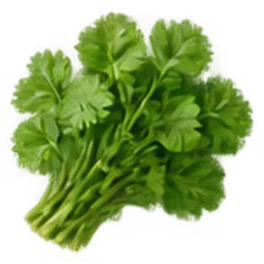 Кинза