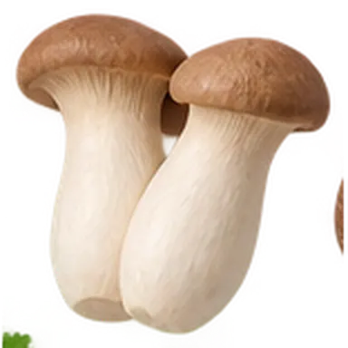 Seta de cardo