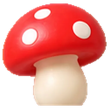 Seta