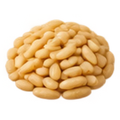 Pinienkerne