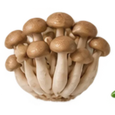Симедзи